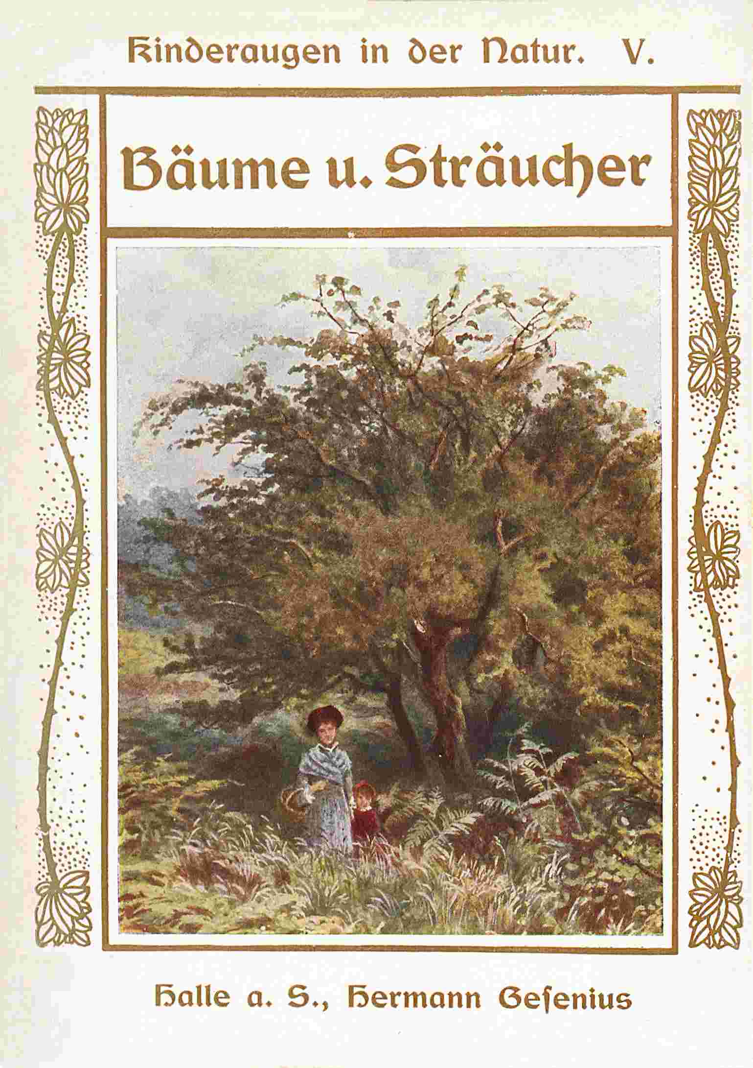 Bäume und Sträucher cover