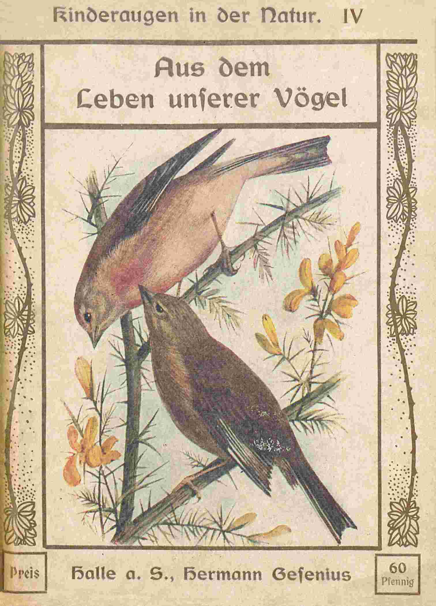 Aus dem Leben unserer Vögel cover