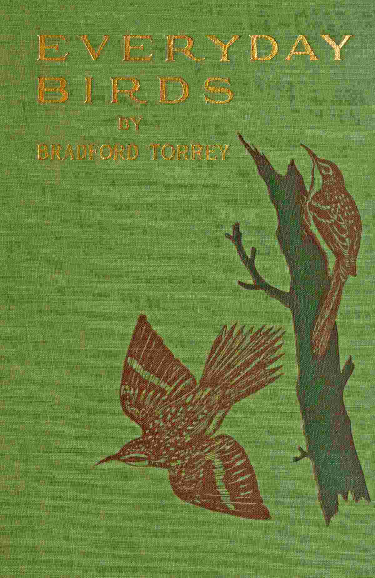 Everyday birds: Elementary studies cover