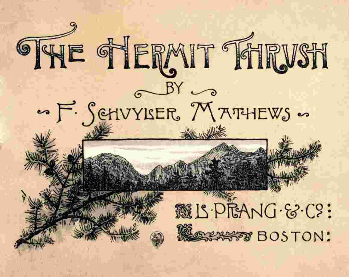 The hermit thrush cover