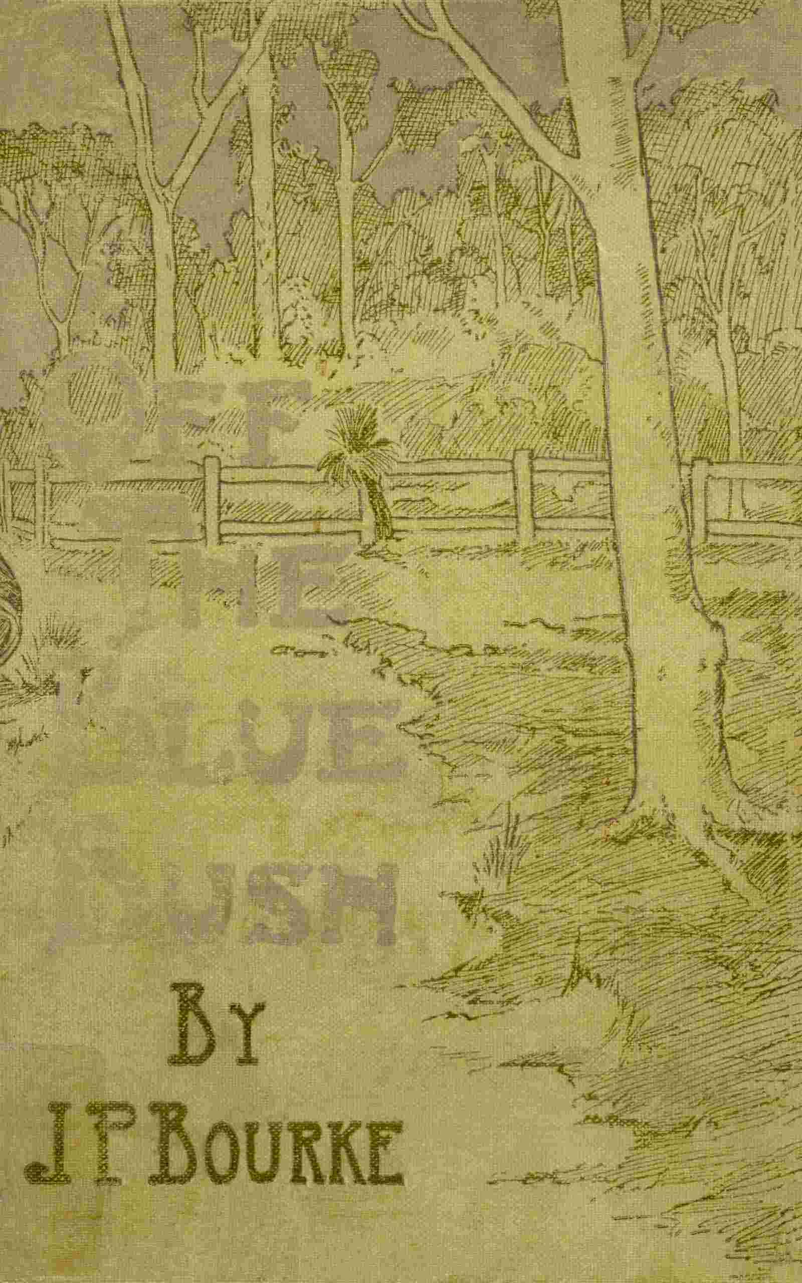 Off the Bluebush cover