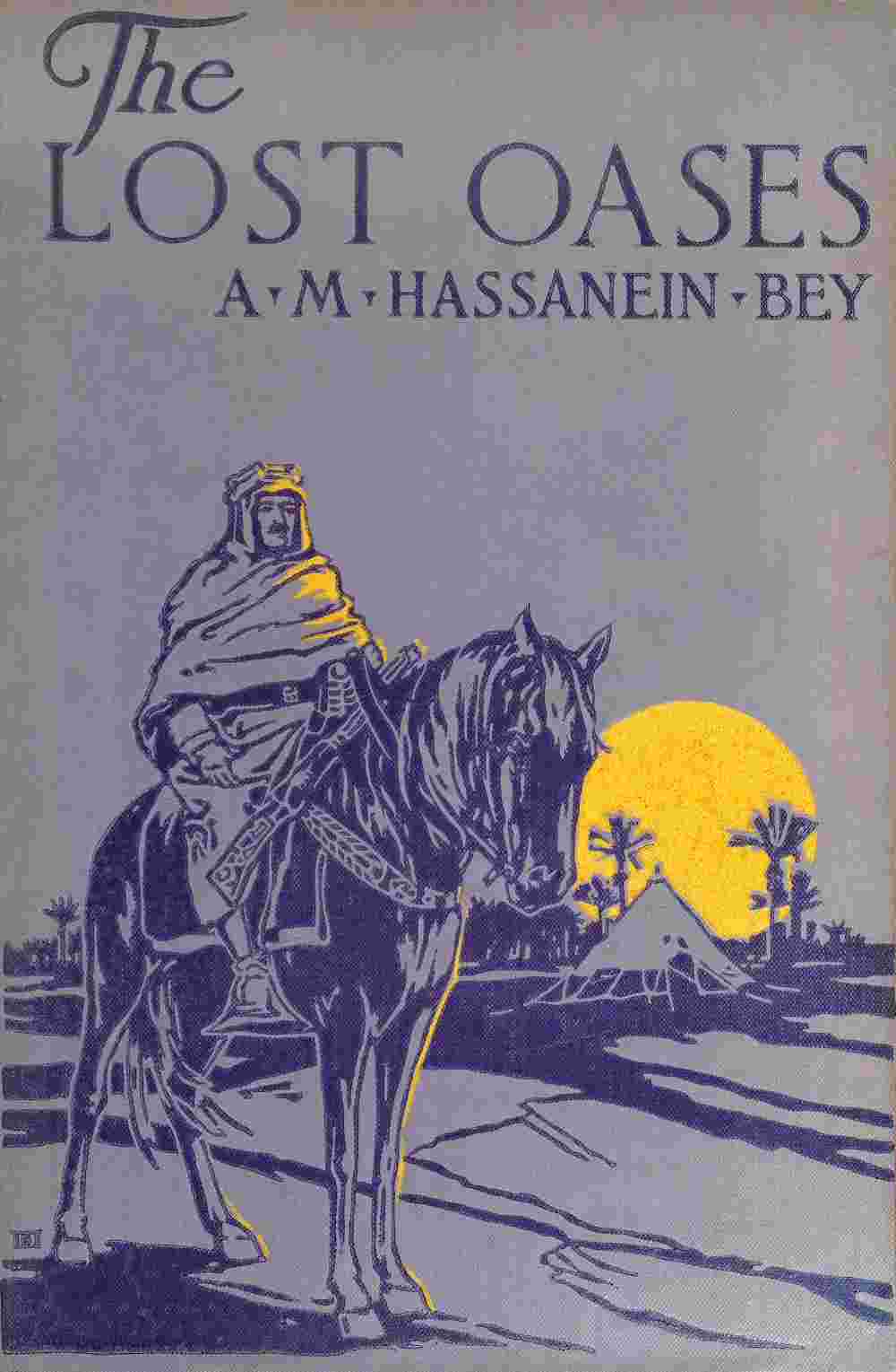 The lost oases cover