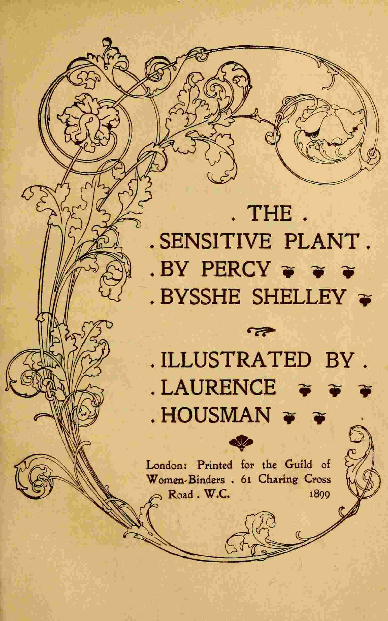The sensitive plant cover