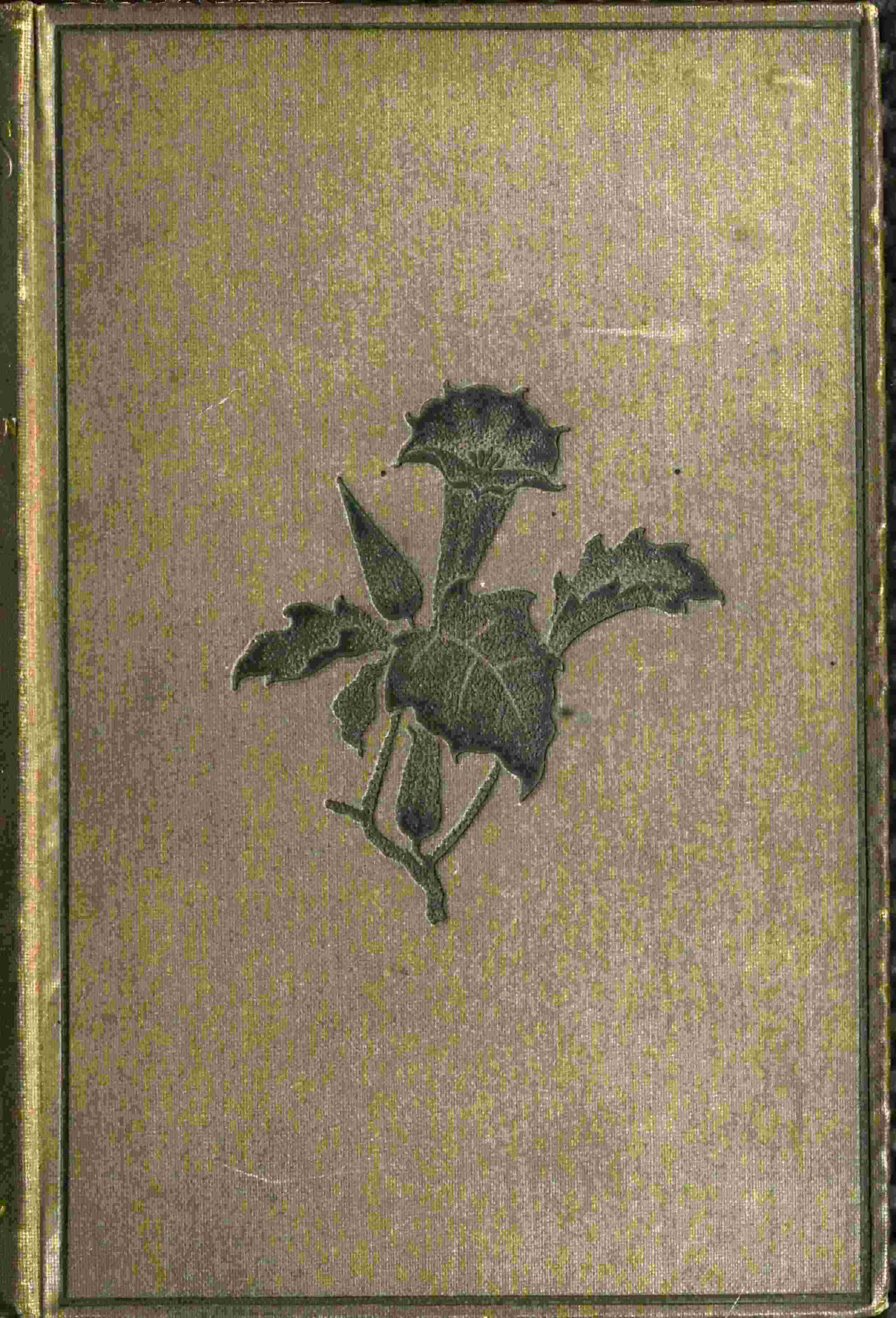 Torwood's trust cover