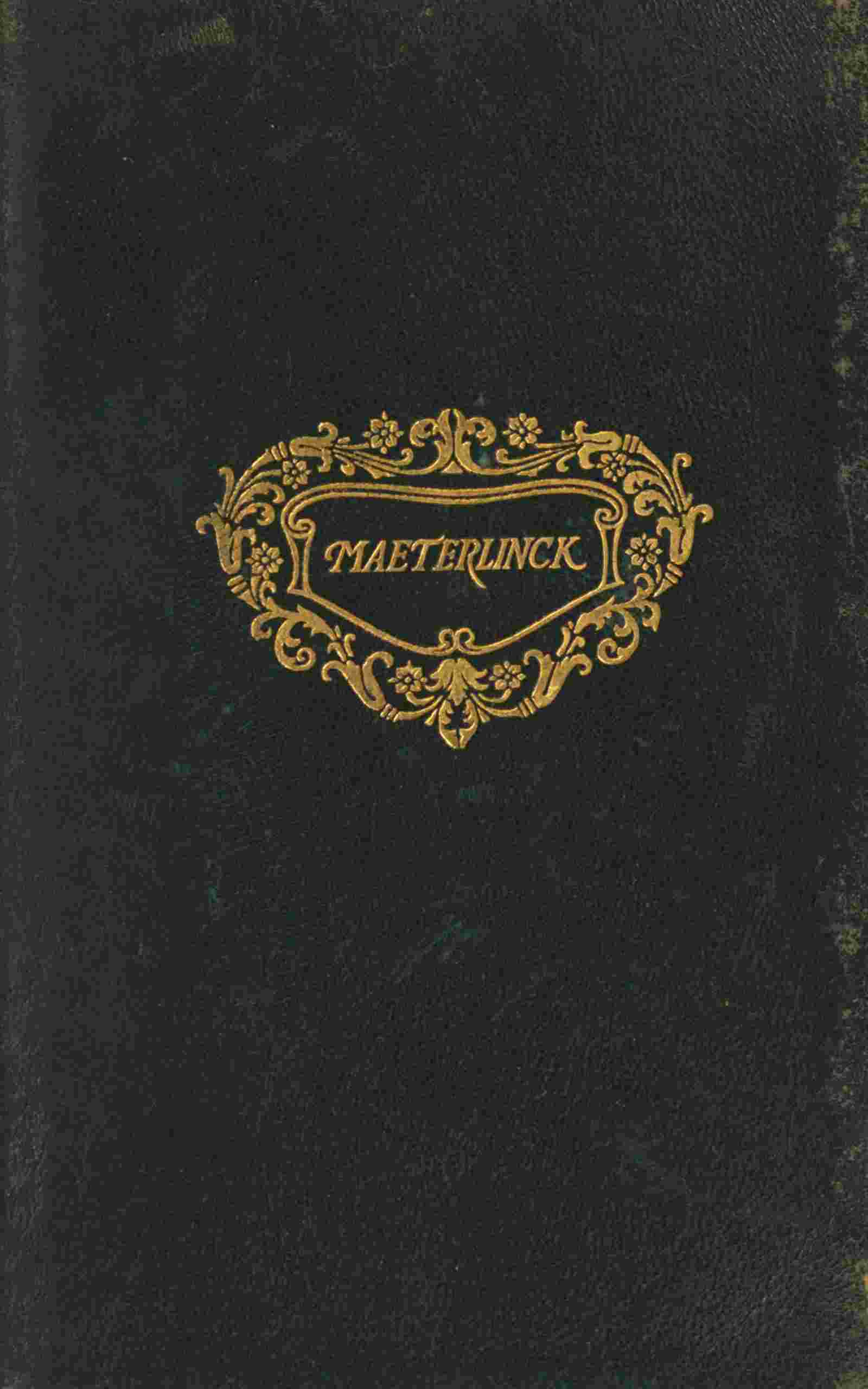 The miracle of Saint Anthony cover