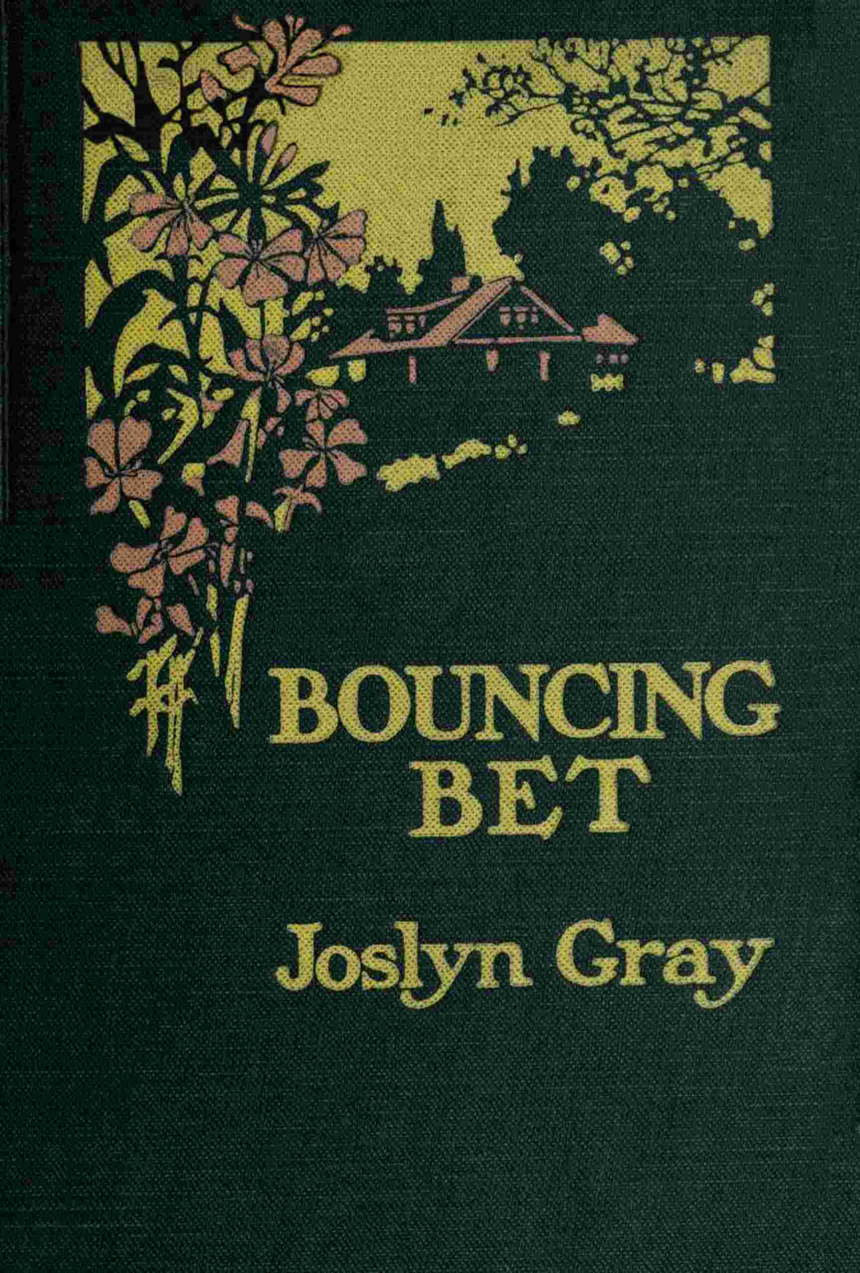 Bouncing Bet cover