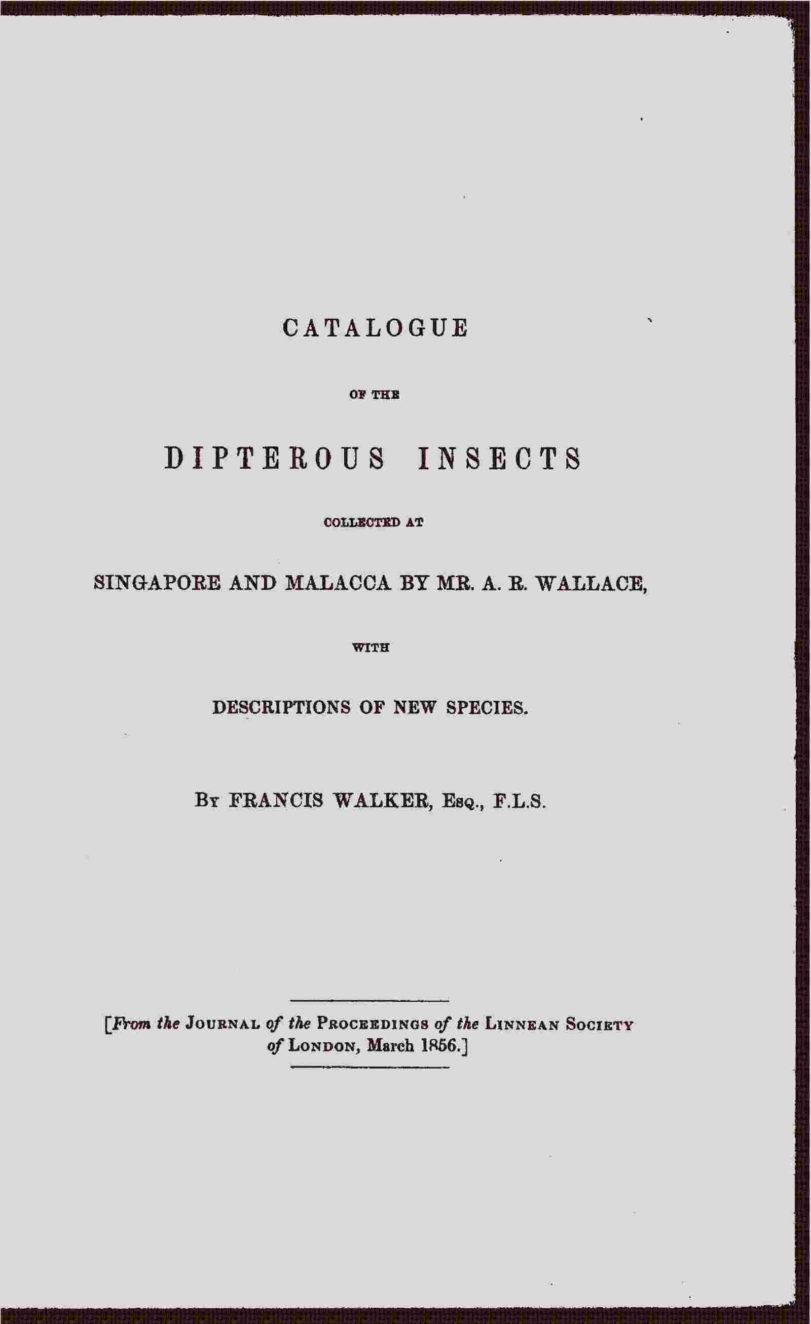Catalogue of the dipterous insects collected at Singapore and Malacca cover