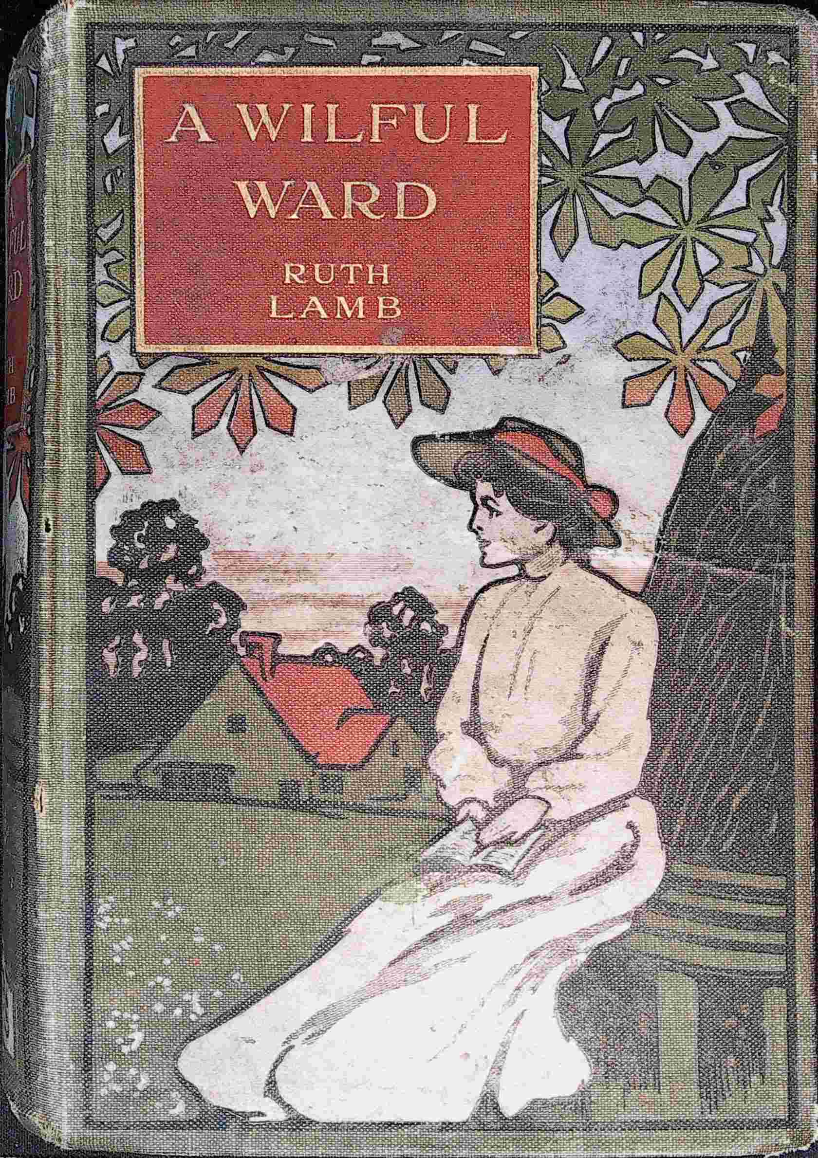 A wilful ward cover