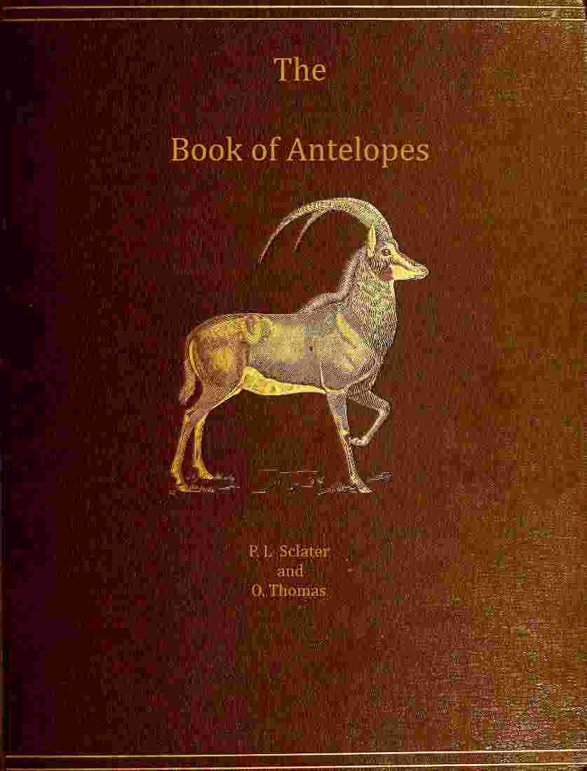 The book of antelopes, vol. 1 (of 4) cover
