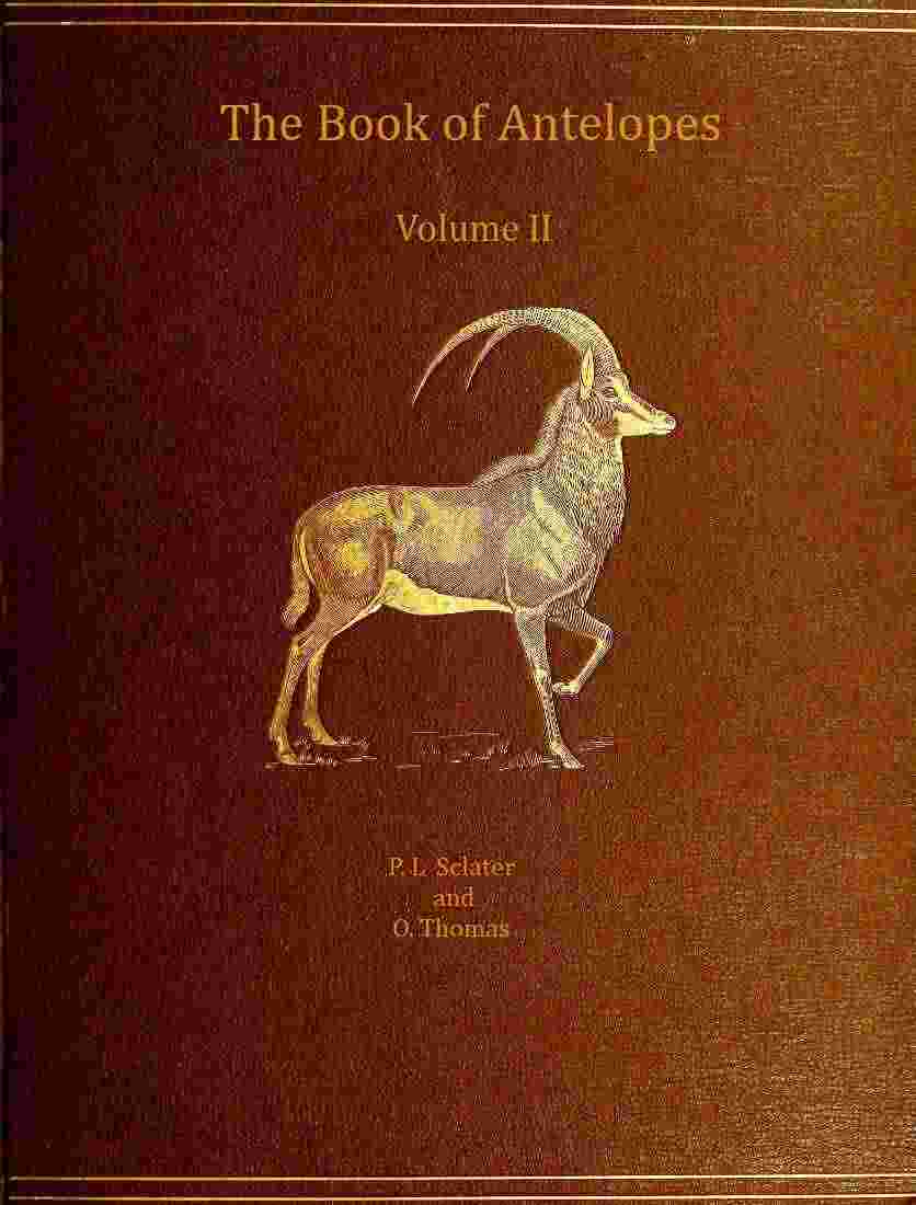 The book of antelopes, vol. 2 (of 4) cover