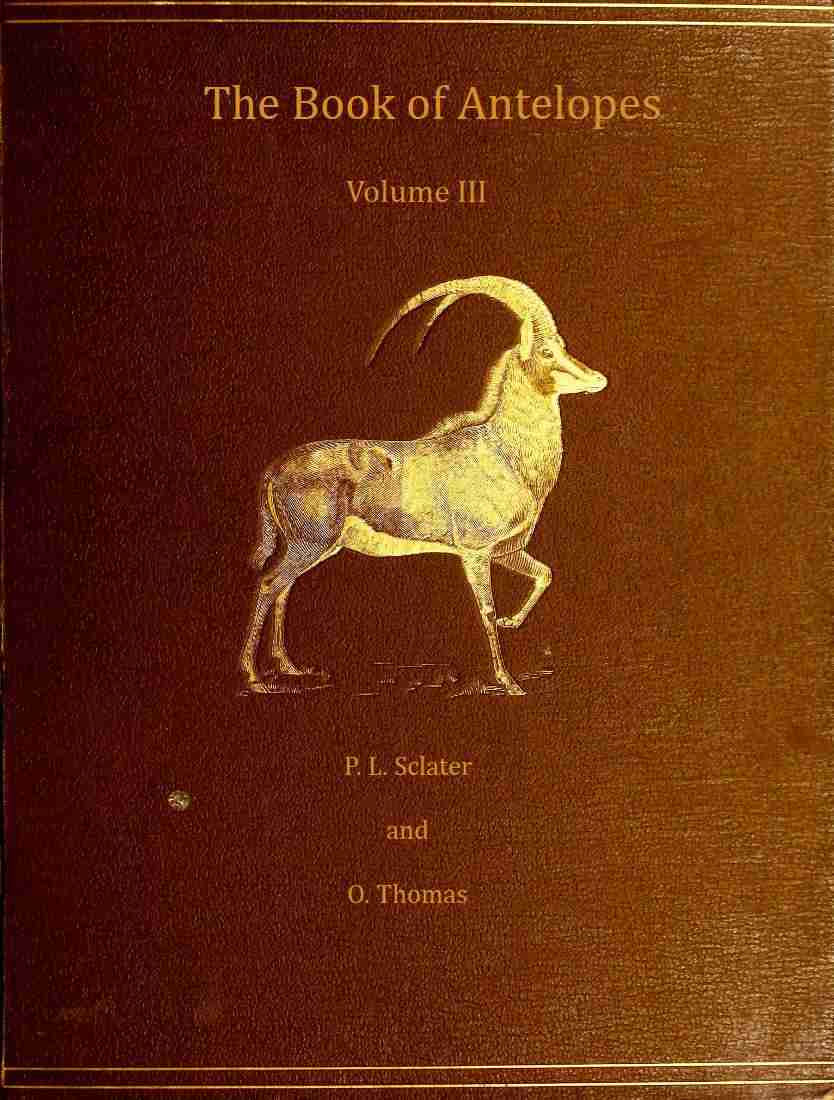 The book of antelopes, vol. 3 (of 4) cover