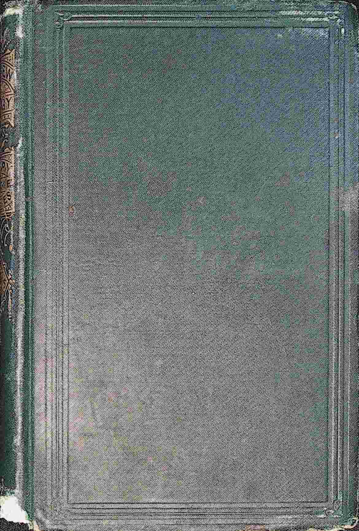 The new buggy cover
