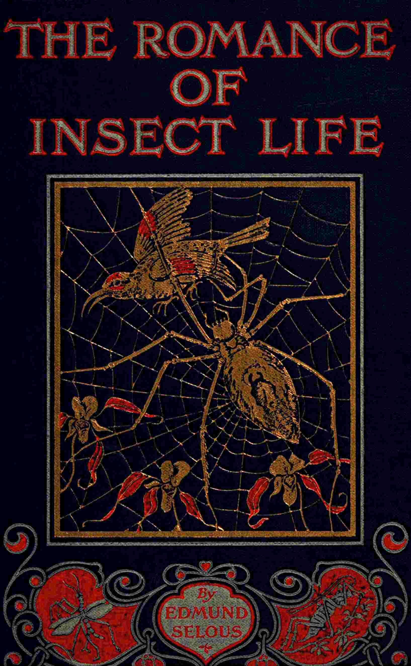 The romance of insect life cover