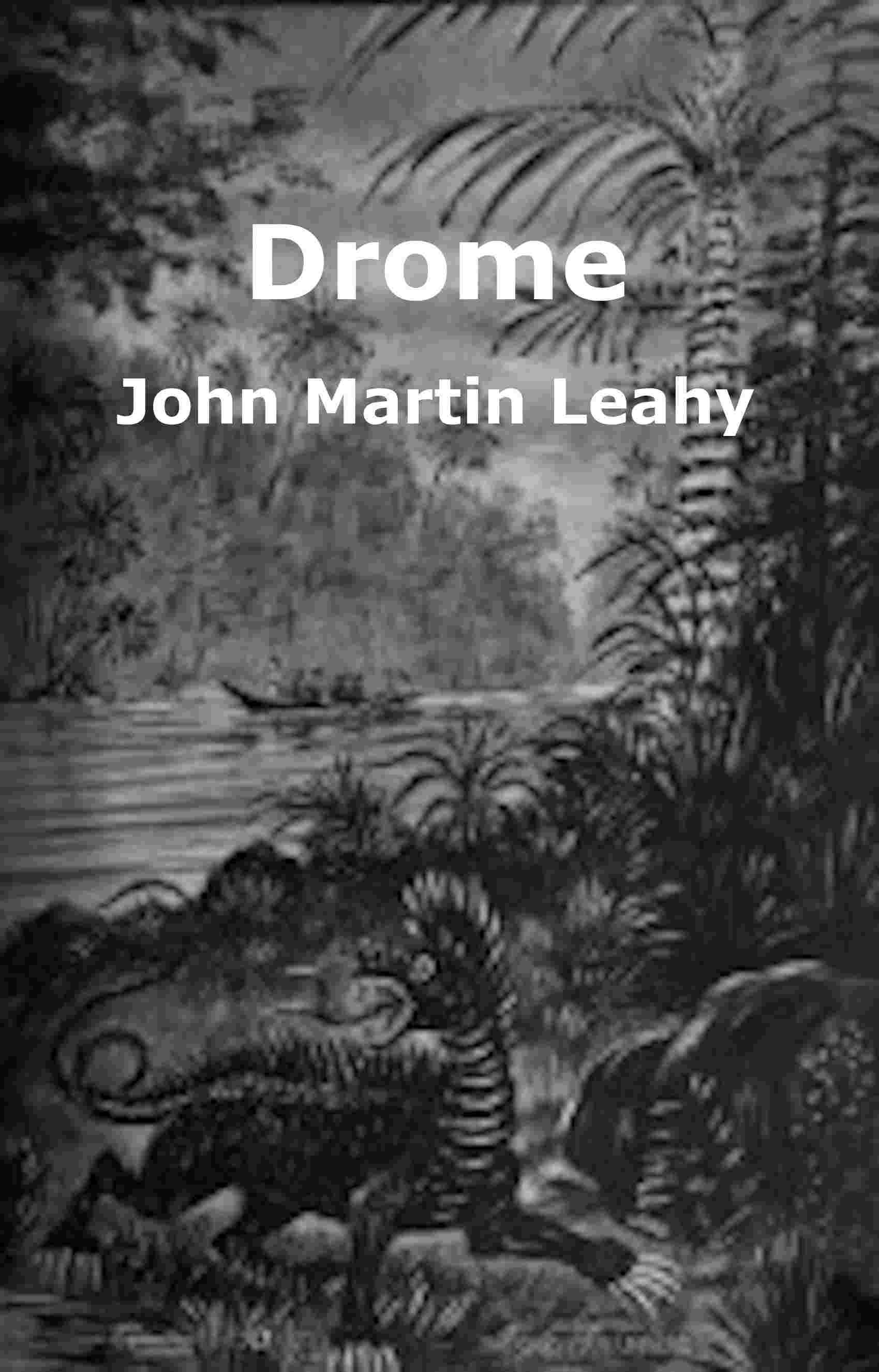 Drome cover