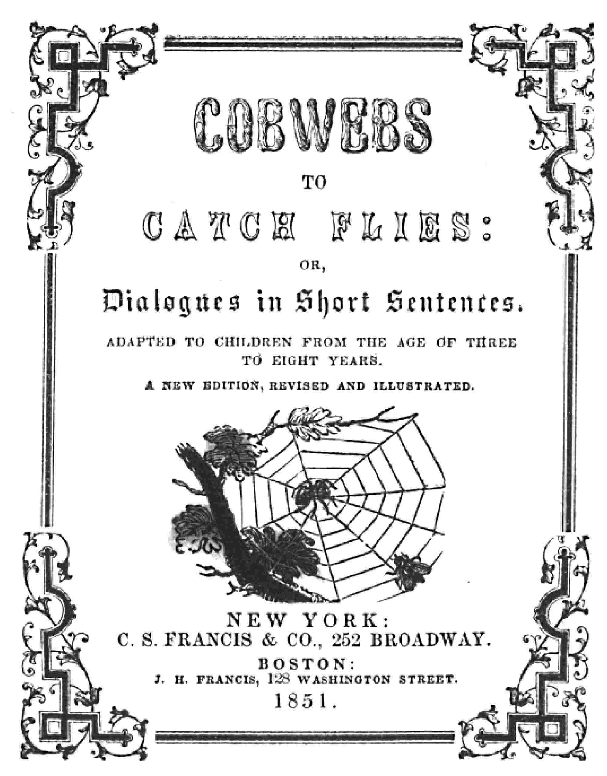 Cobwebs to catch flies cover