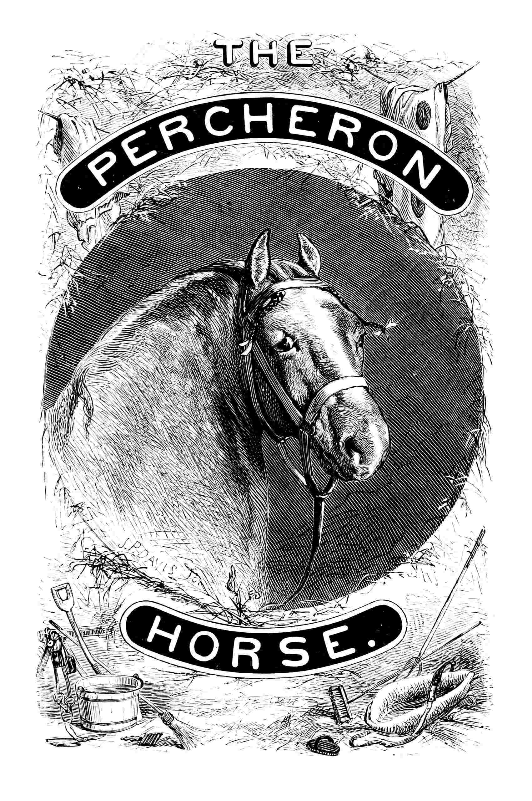 The Percheron horse cover
