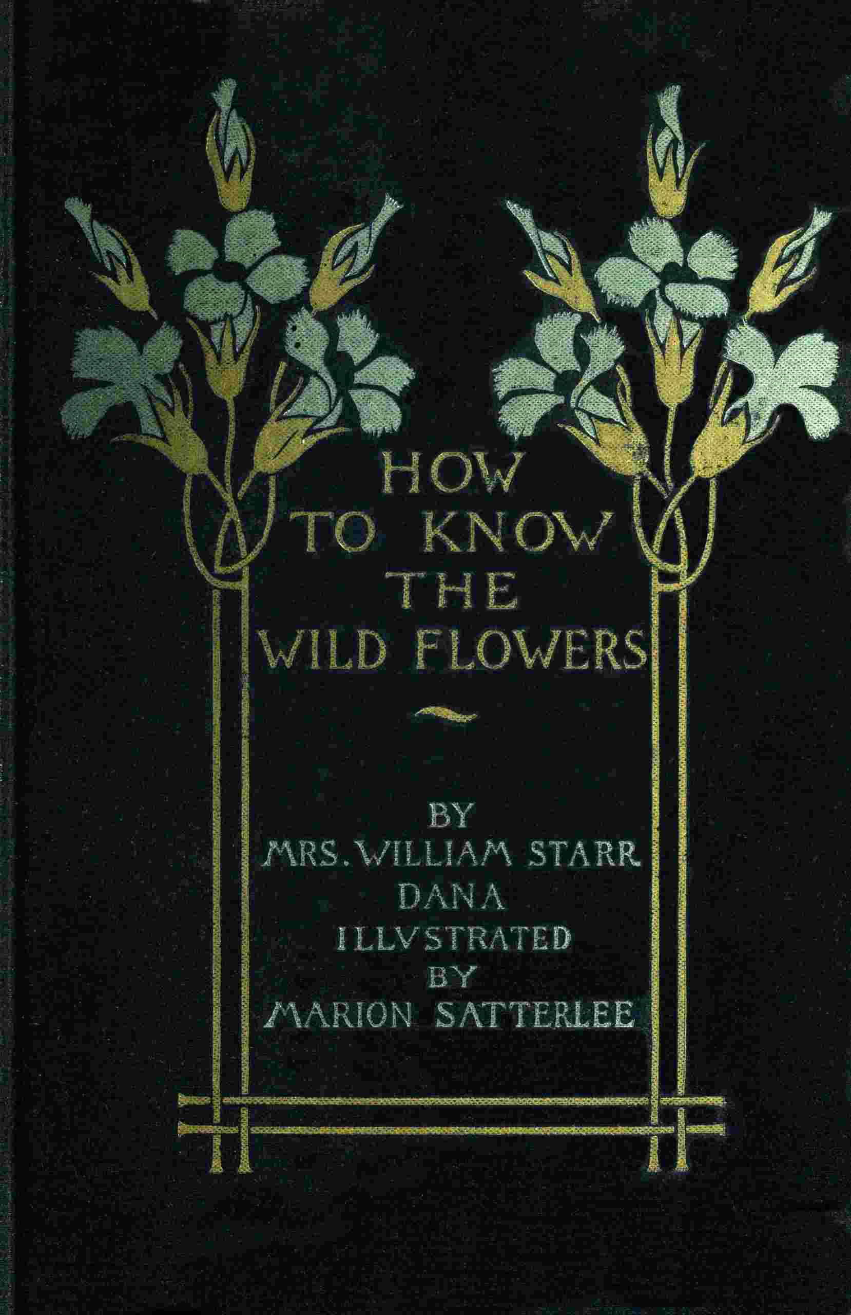 How to know the wild flowers cover