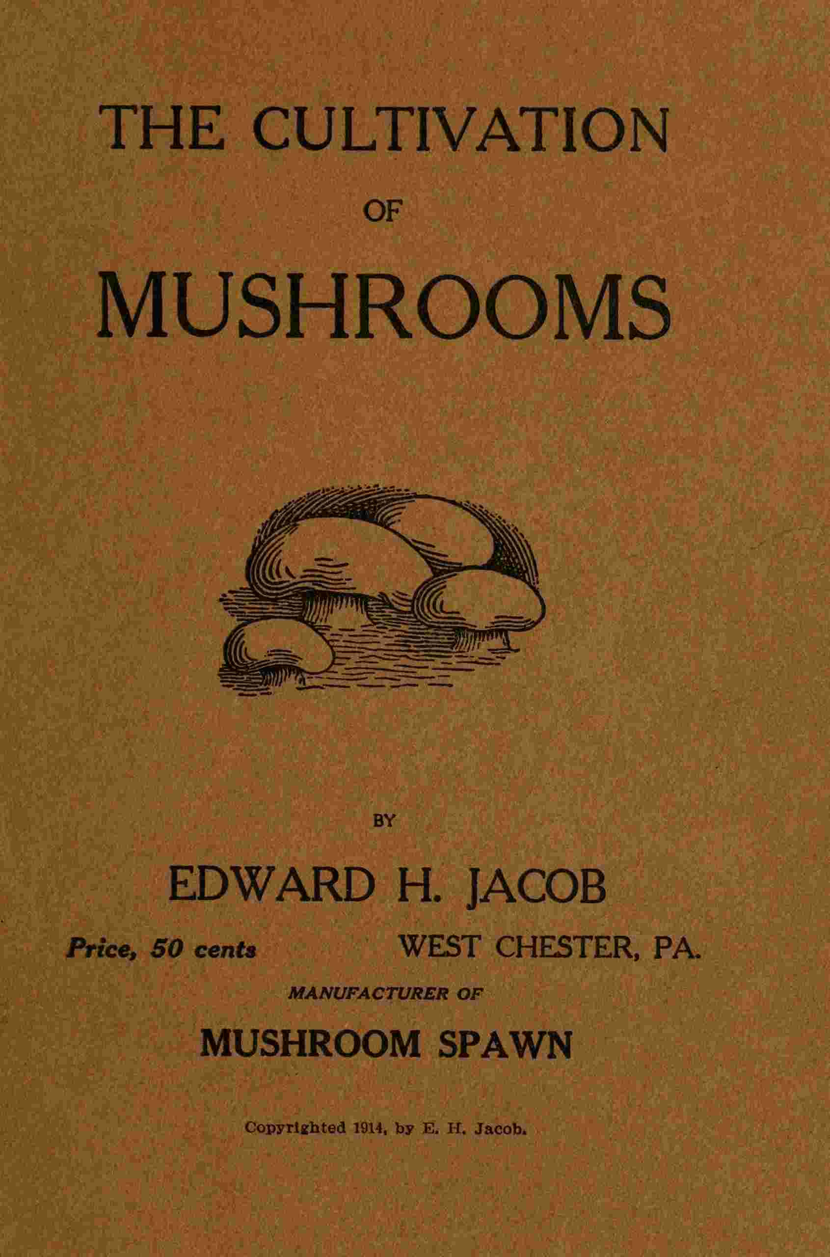 A study of mushrooms and mushroom spawn cover