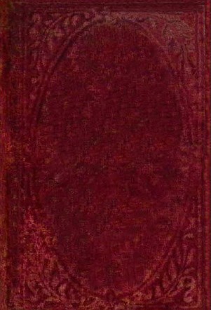 The golden pennies, and other stories cover