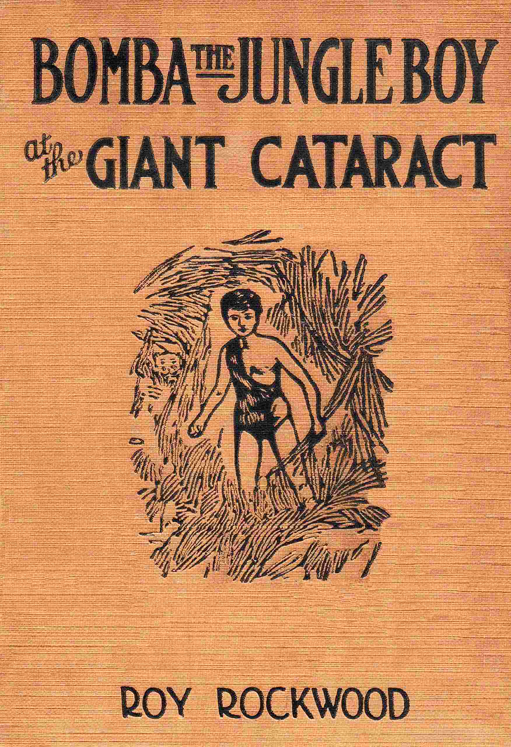 Bomba the jungle boy at the giant cataract cover