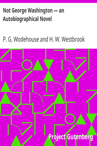 Not George Washington — an Autobiographical Novel cover
