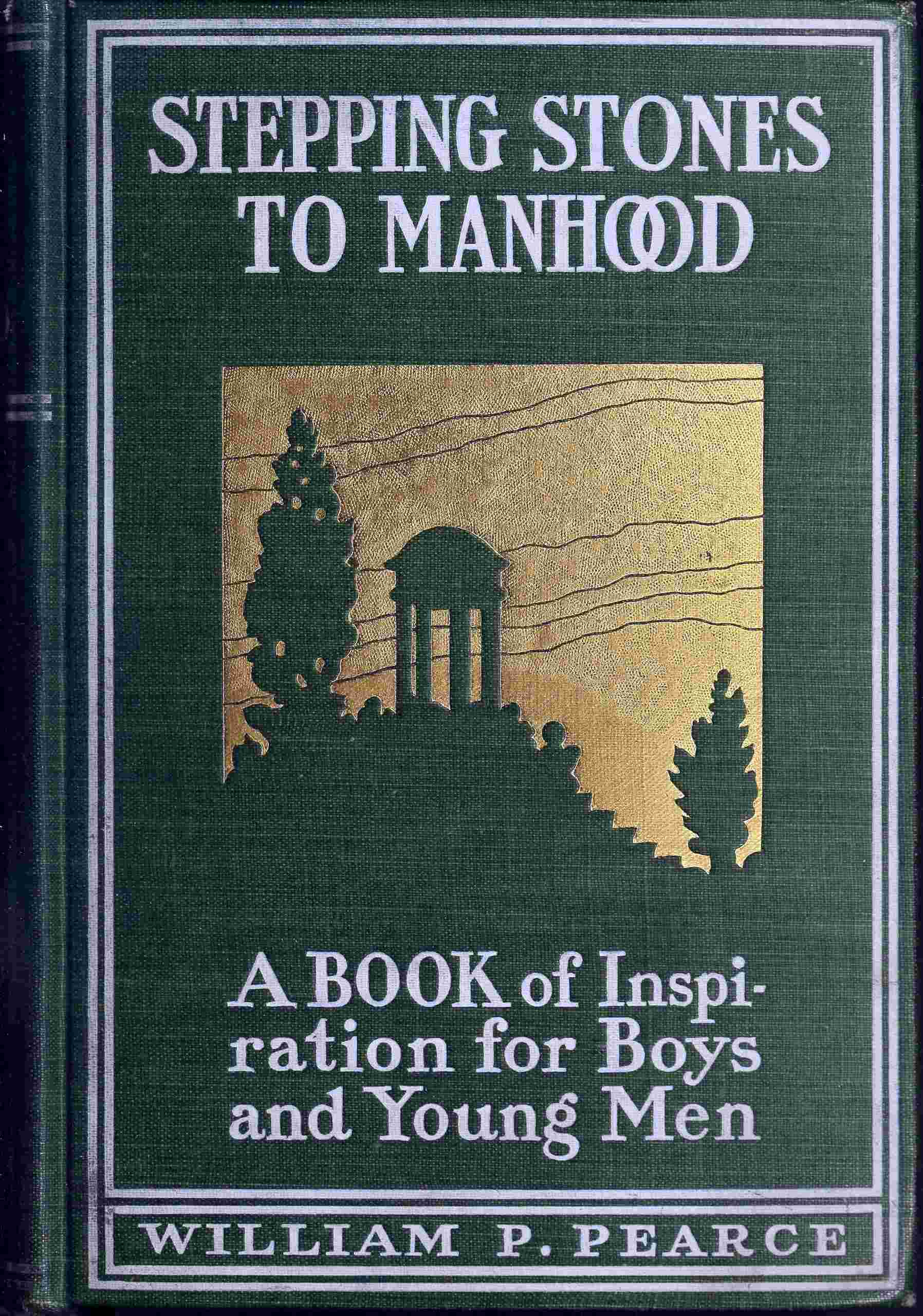 Stepping stones to manhood cover