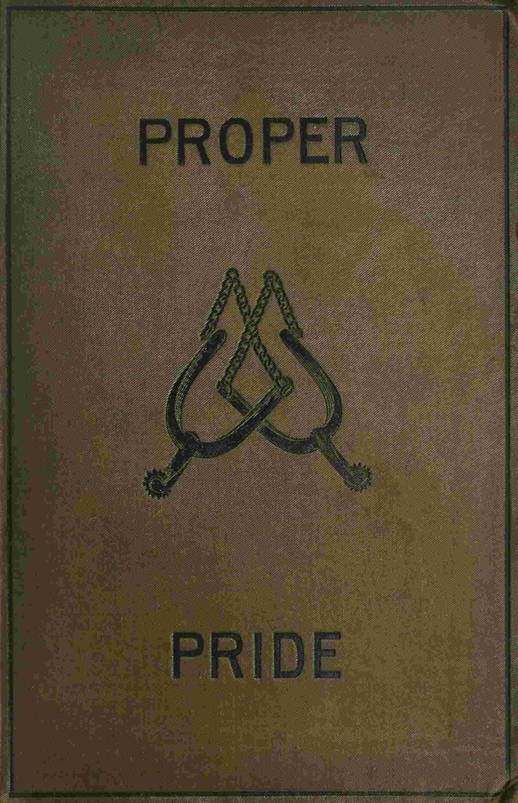 Proper pride : A novel. Volume 2 (of 3) cover