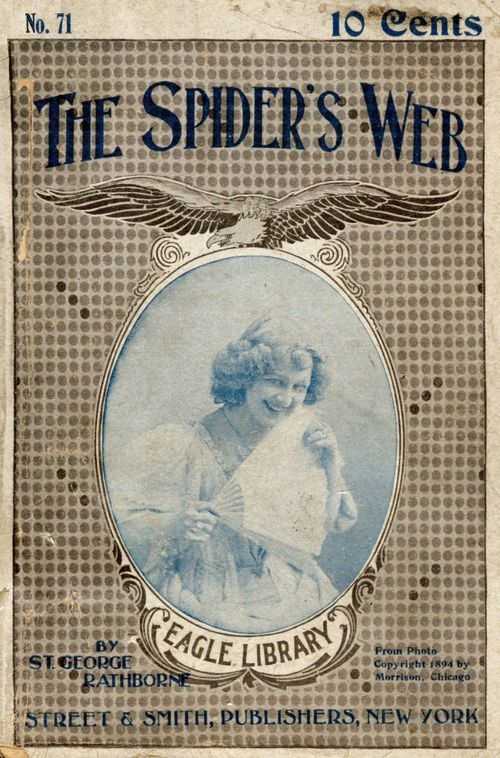 The spider's web cover