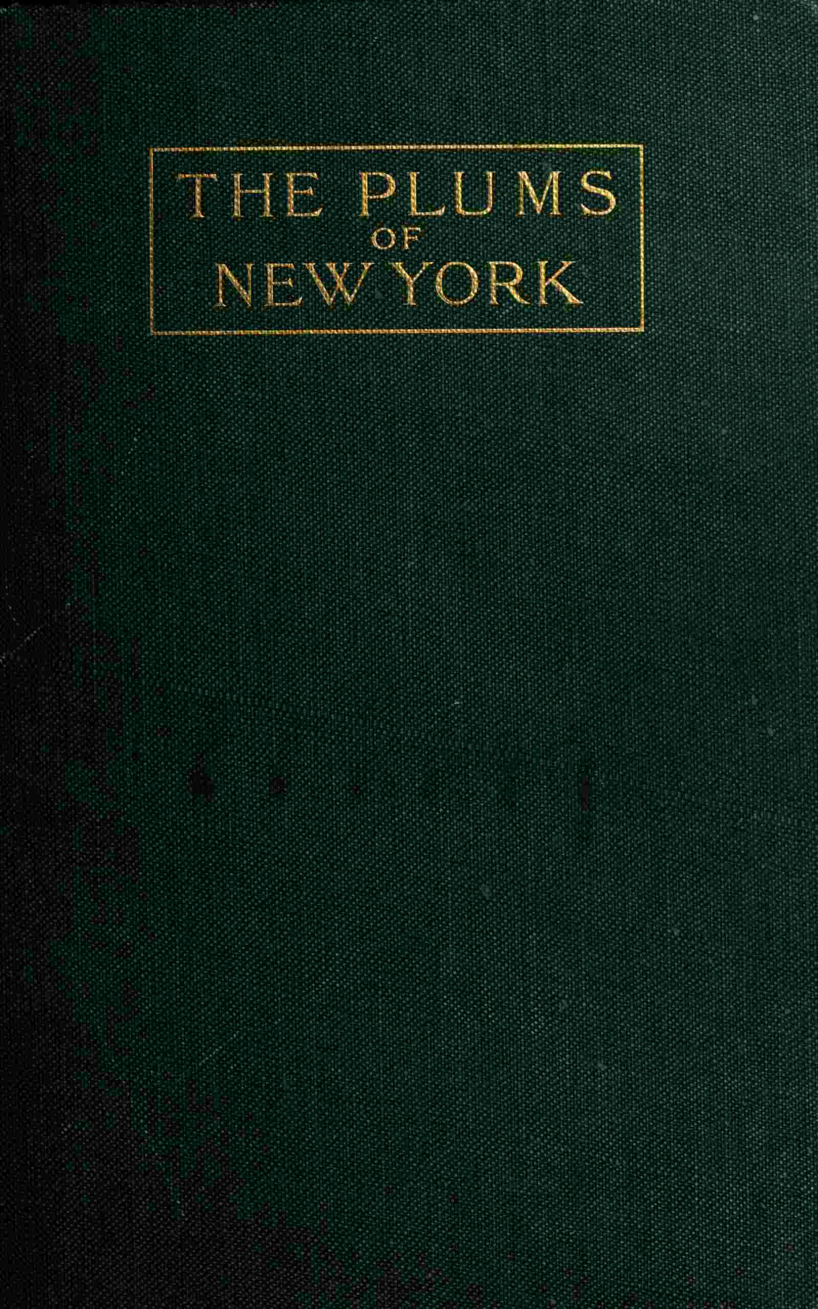 The plums of New York cover