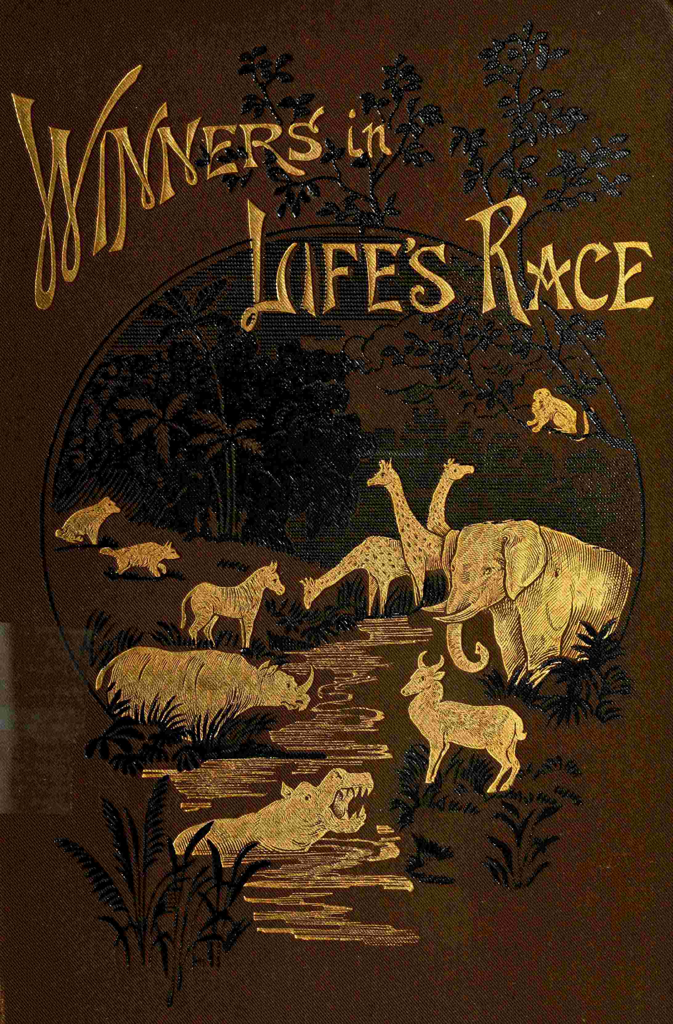 The winners in life's race cover
