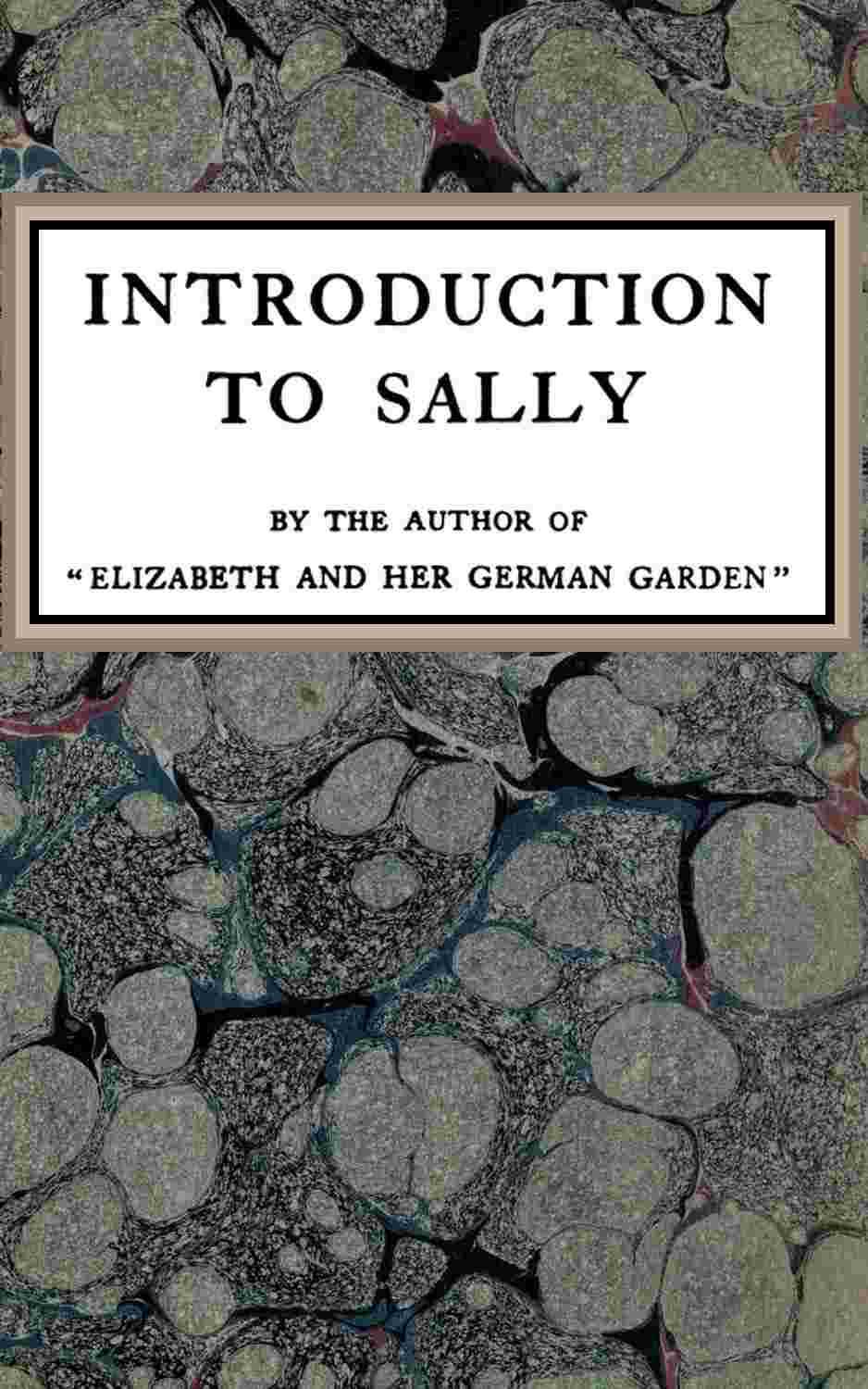Introduction to Sally cover