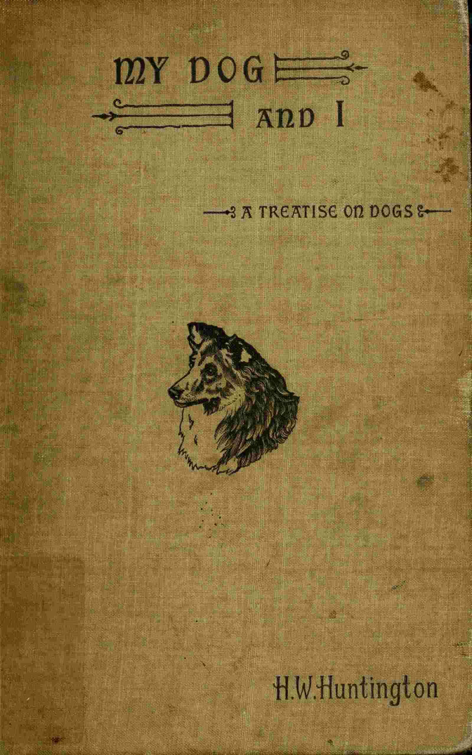 My dog and I cover