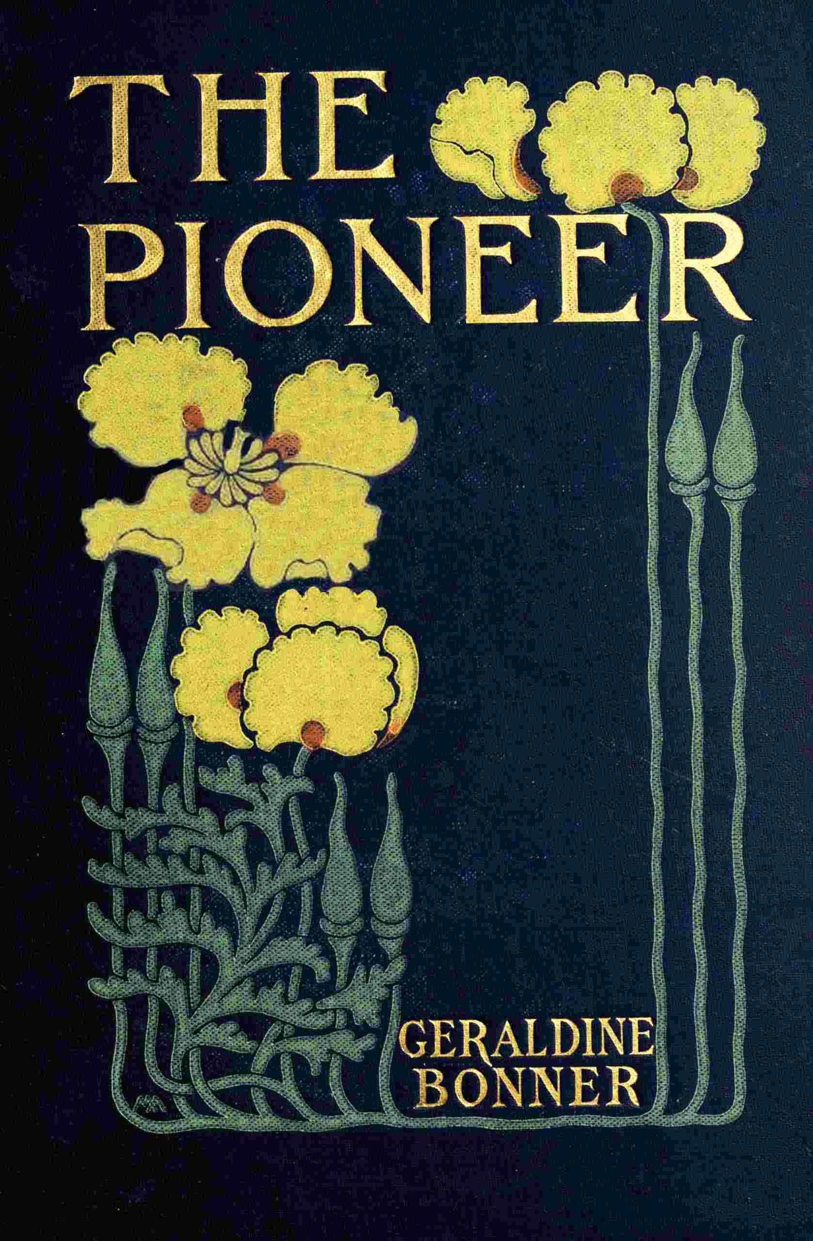 The pioneer cover