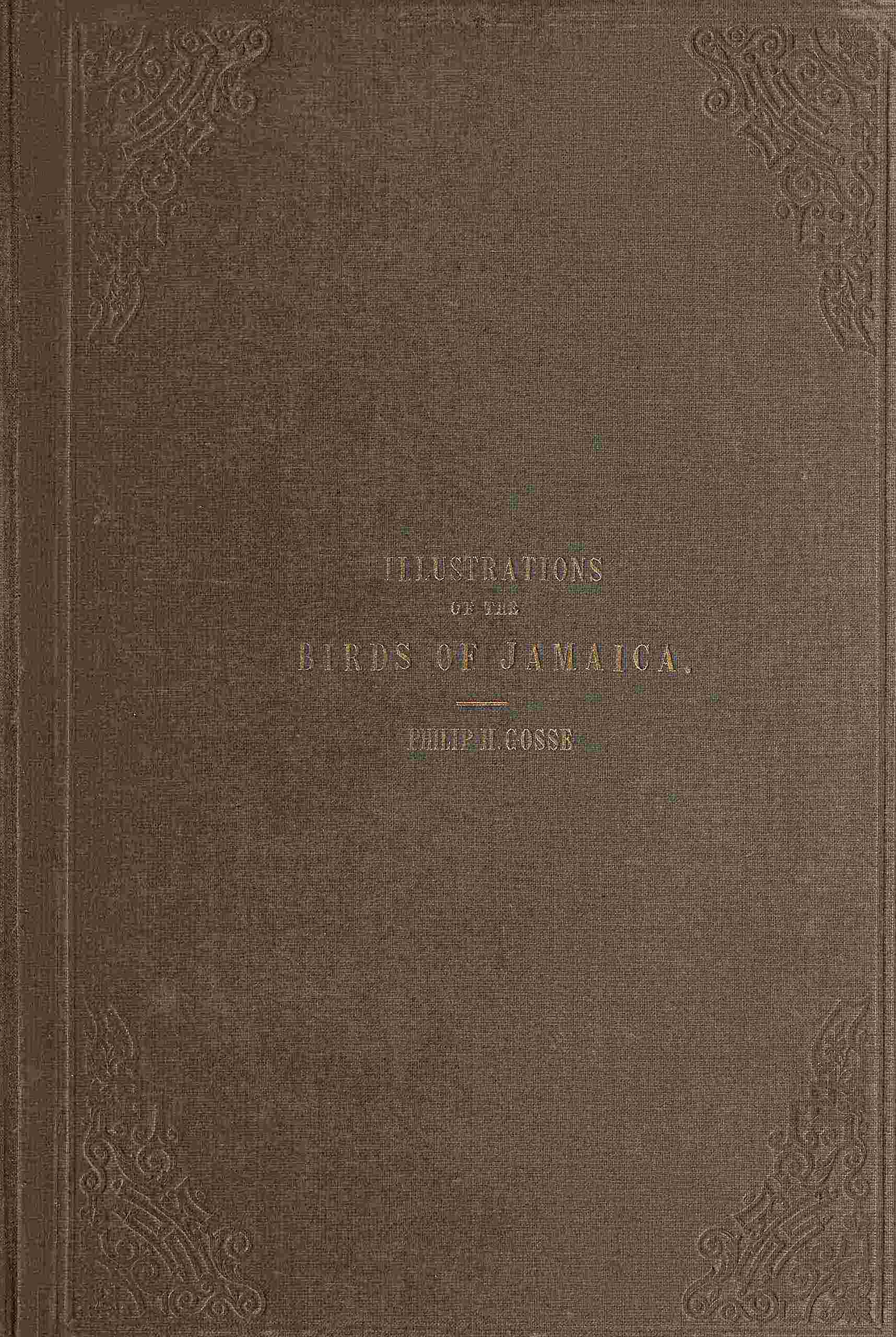 Illustrations of the birds of Jamaica cover