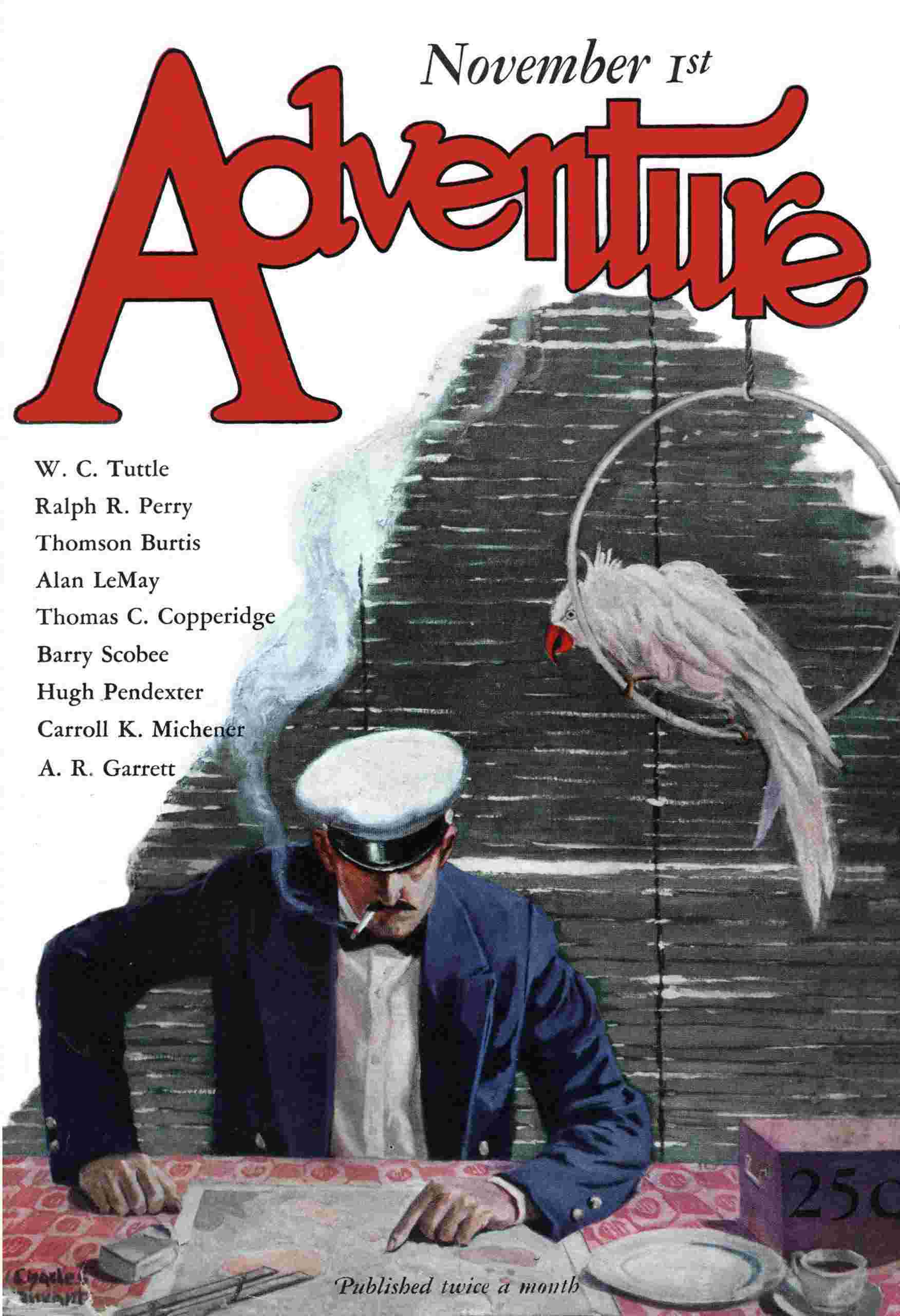 Salute cover