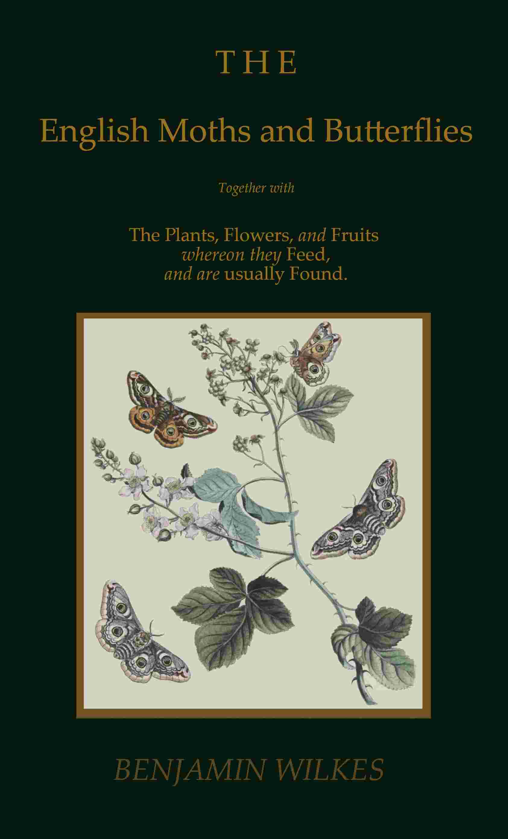 The English moths and butterflies cover