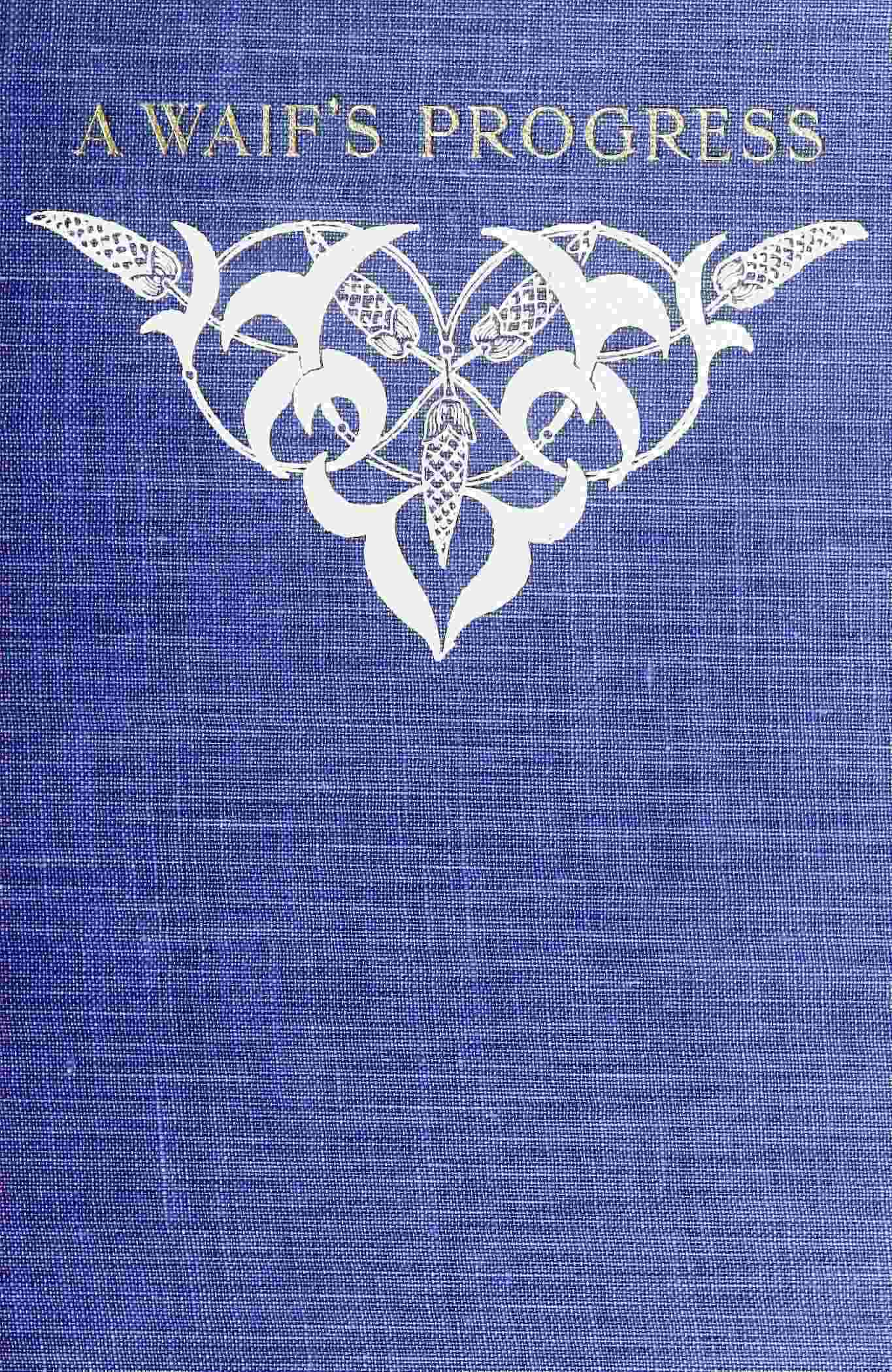 A waif's progress cover