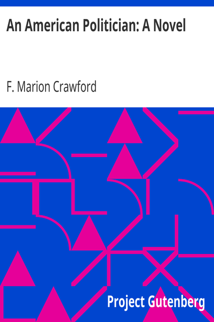 An American Politician: A Novel cover