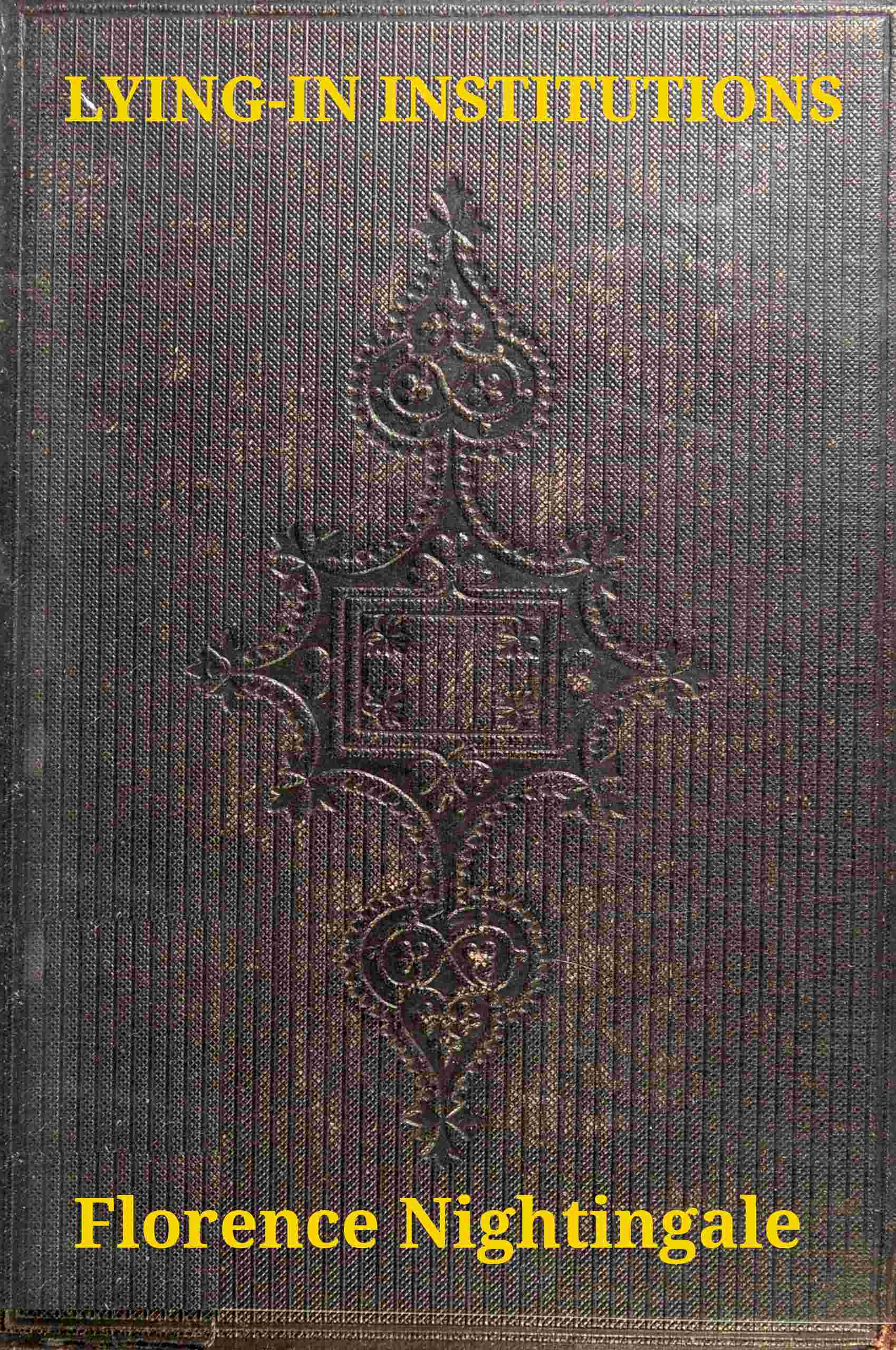 Introductory notes on lying-in institutions cover