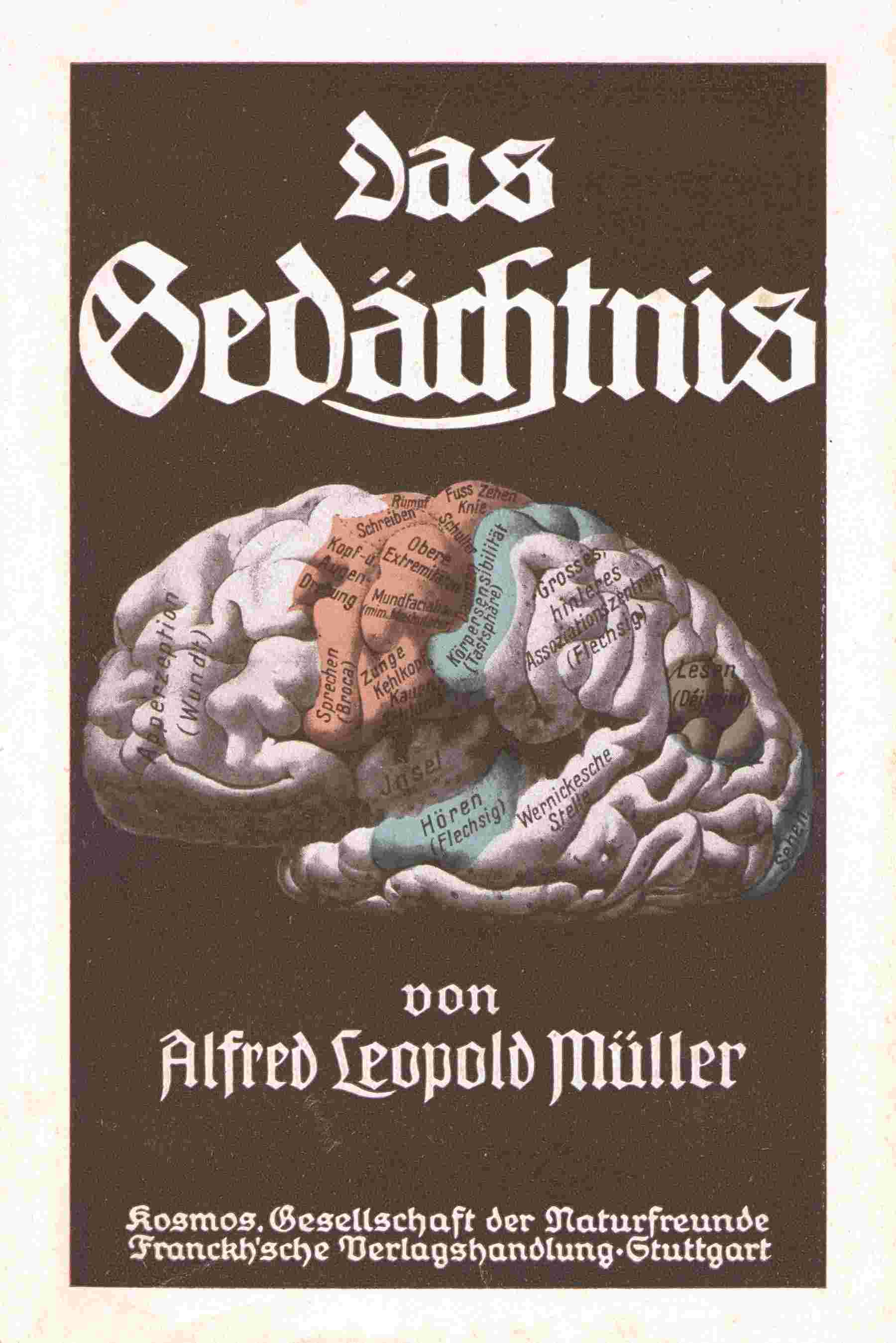 Das Gedächtnis cover