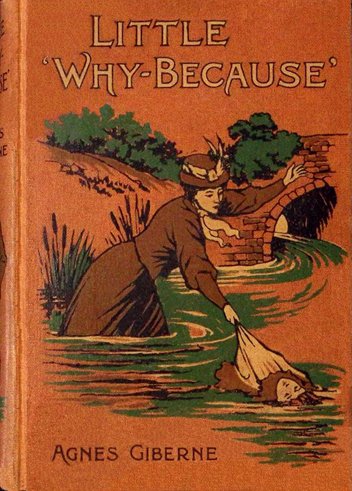Little "Why-because" cover