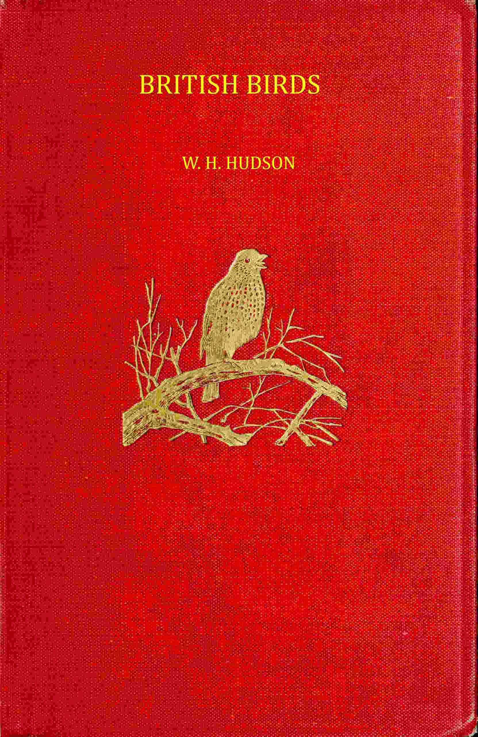 British birds cover