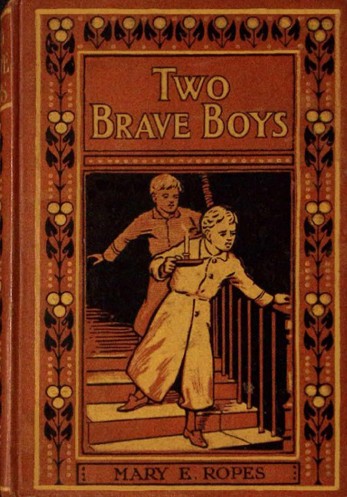 Two brave boys, and, The wrong twin cover