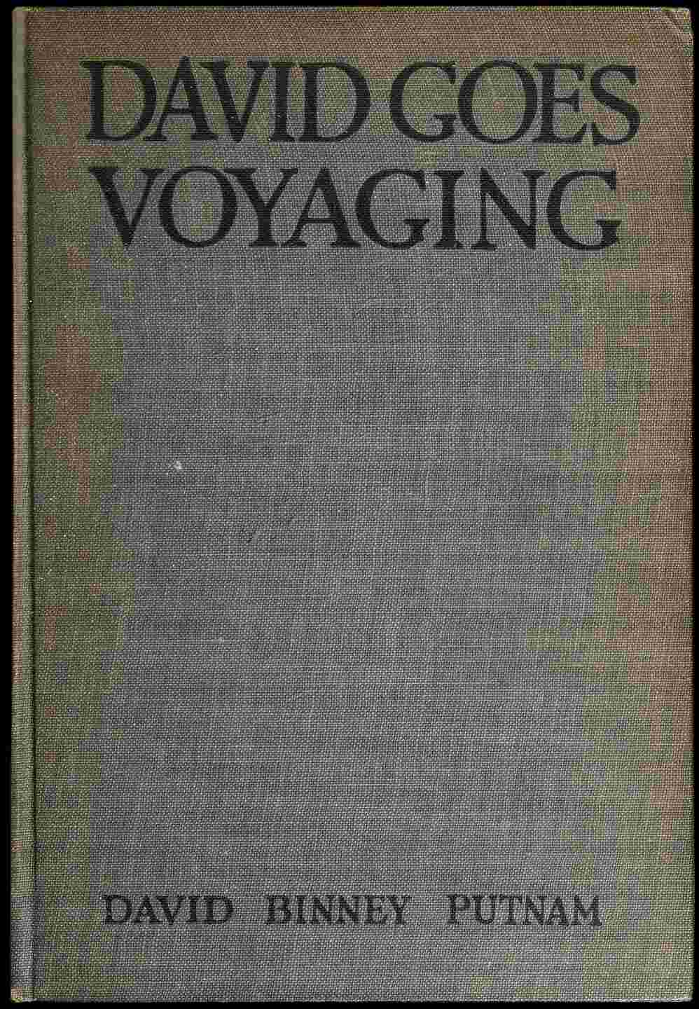 David goes voyaging cover