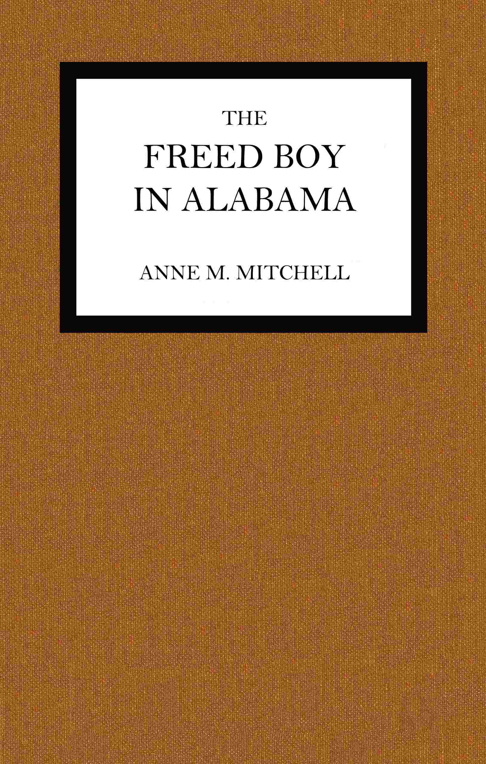 The freed boy in Alabama cover
