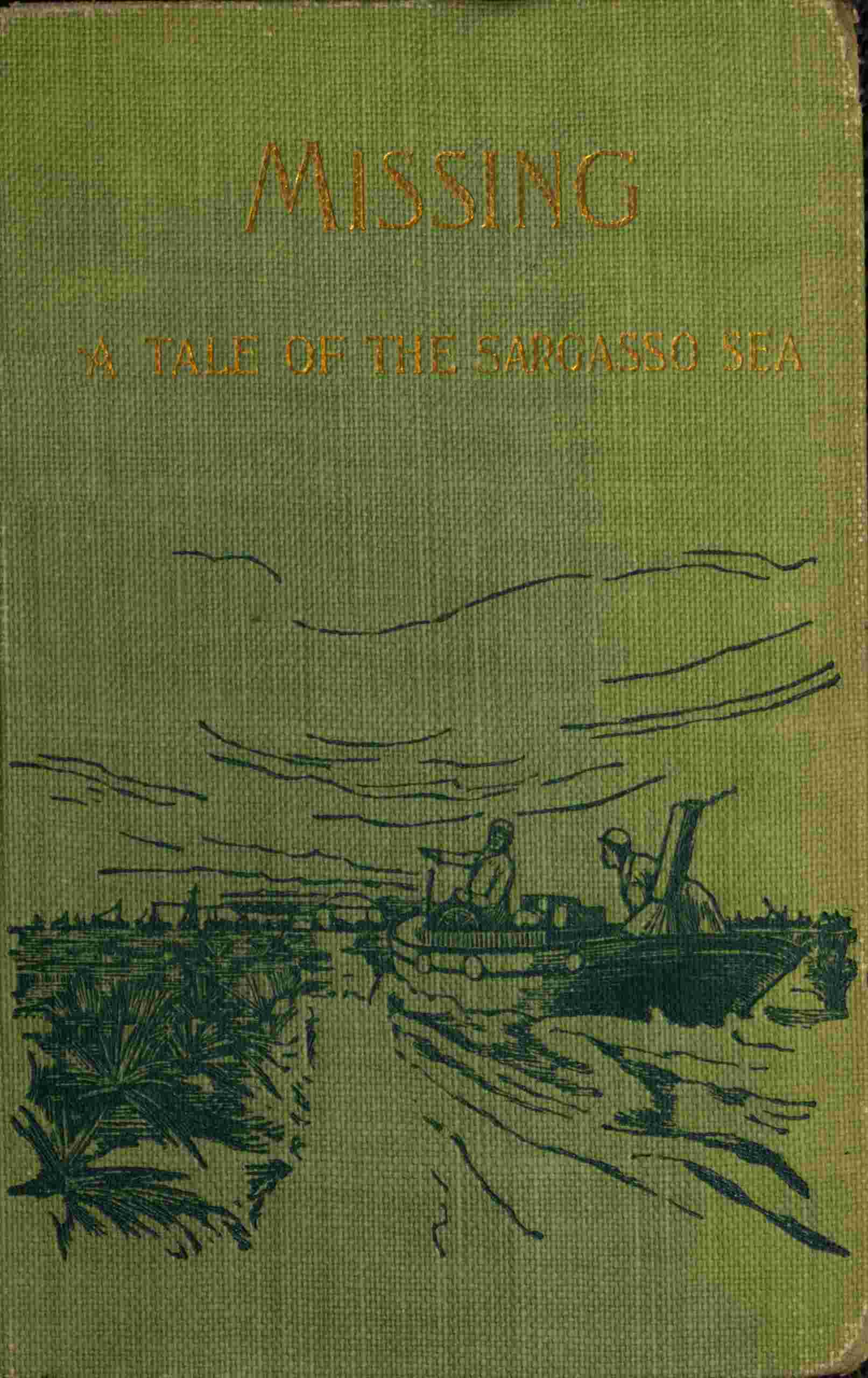 "In Sargasso." Missing, a romance cover
