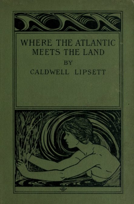 Where the Atlantic meets the land cover
