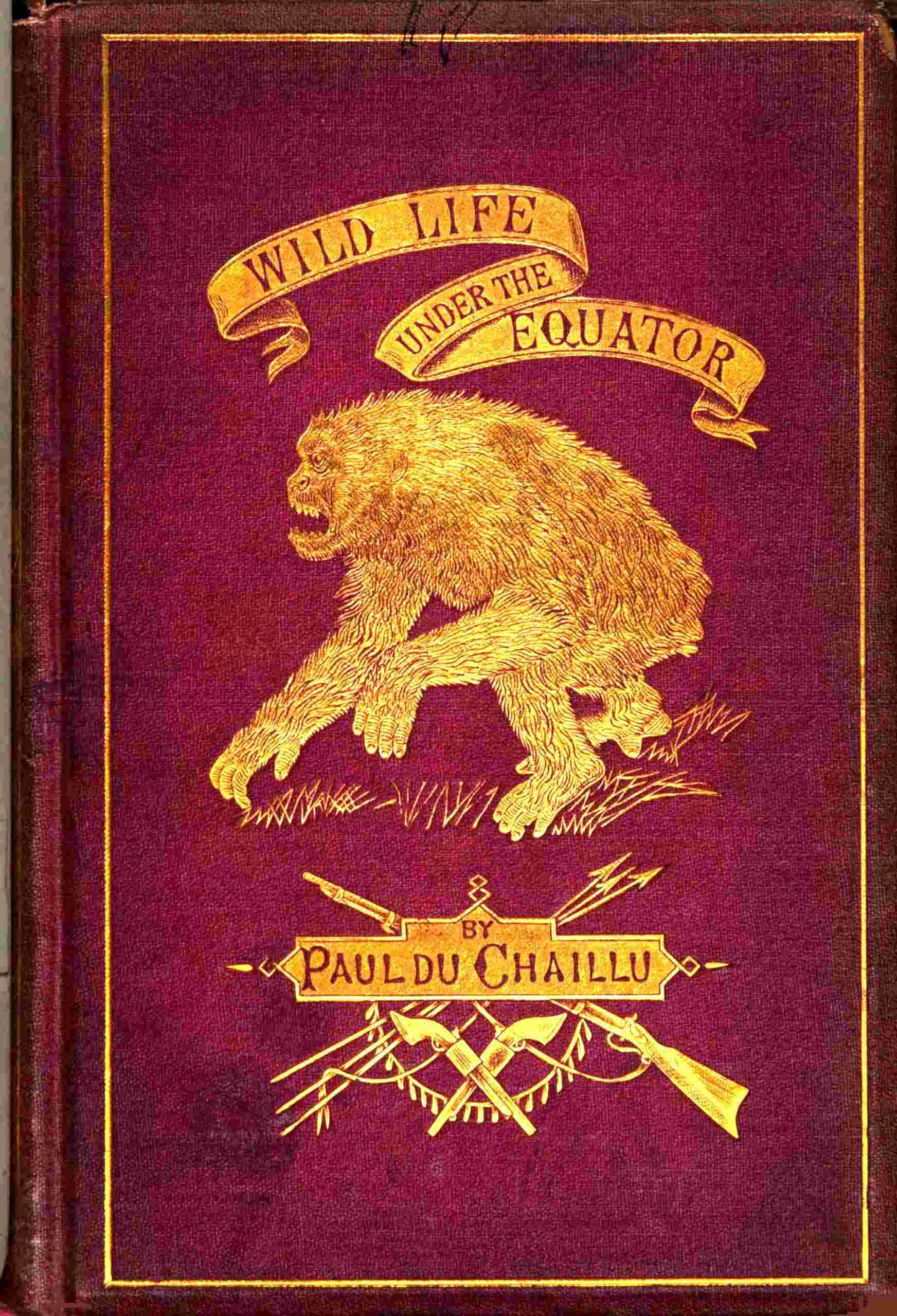 Wild life under the equator cover