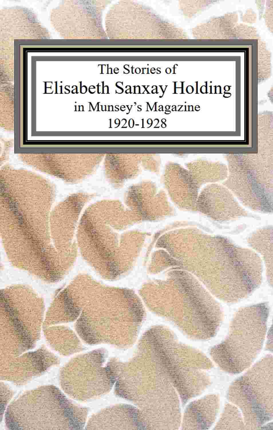 The collected stories of Elisabeth Sanxay Holding from Munsey's Magazine, 1920-1928 cover