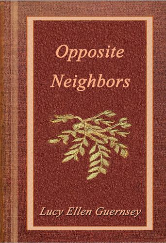 Opposite neighbours cover